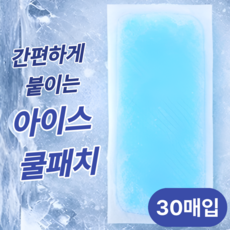 온픽커머스 붙이는 열냉각 아이스 쿨패치 운동용 일상용, 30개