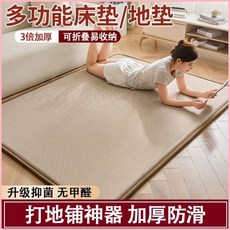 夏季涼席地墊 榻榻米床墊 午睡墊 爬爬墊 學生宿舍專用, 抑菌冰絲墊+餅乾花-咖色,40x40cm--【一墊多鋪-雙面可6