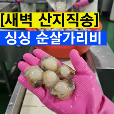 자이언트수산 국내산 깐가리비 신선한 홍가리비 통통한 순살가리비, 3개, 400g