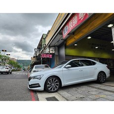 H&R 短彈簧 SKODA SUPERB 專用，降低車身、提升操控性, 1個