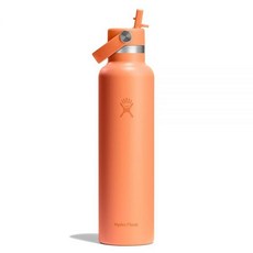 하이드로 플라스크 스탠다드 플렉스 스트로캡 텀블러 710ml 화이트 163378, 24 Oz