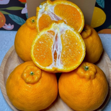 최대18브릭스 초고당도선별 제주 특품 한라봉, 1박스, 3kg