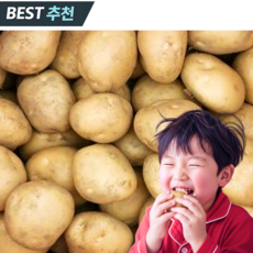 [품질보장] 2026년 수미 햇감자 국내산, 1박스, 중 3kg