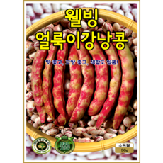 KS종묘 웰빙 얼룩이강낭콩 씨앗 30g 비덩굴 붉은얼룩 강낭콩 종자 ks, 1개