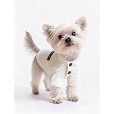 고양이 강아지 도트 티셔츠 레이스 소매 버튼 펫옷 봄가을 실내복, 1개, 화이트