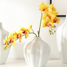 호접란 조화 물을 주고 없는 서양란 필요 관리할 장식 986000ea (개), 02.옐로