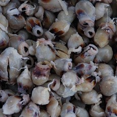 포항마트 조미 오징어입 중대 / 반건조 조미 오징어입 맛있는 오징어입, 1개, 조미오징어입_중대_1kg