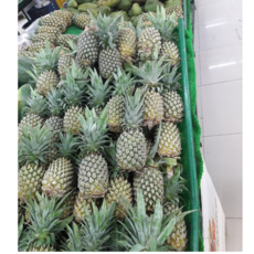 동남아 필리핀 파인애플세트 브로멜린 단백질분해 소화효과 식이섬유, 2개, 약2kg