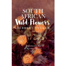 (영문도서) South African Wild Flowers - Illustrated by A. Beatrice Hazell Paperback, White Press, English, 9781473330542