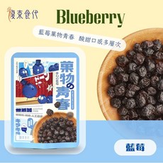 腹束食代 水果乾 (蔓越莓/藍莓/草莓/鳳梨) 健康低溫烘焙零食, 1個, 藍莓乾