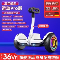 전동 밸런스 자전거 성인용 두발 입문 바이크, 36V화이트레그컨트롤/블루투스+8인치글레어휠