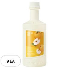 네이쳐티 나주배 베이스, 9개, 1.2kg