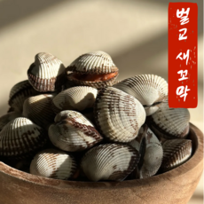 [겨울제철꼬막] 특대 새꼬막 벌교직송 꼬막살 쫄깃함최고 3kg, 1개, 새꼬막 1kg 상(90미 내외)