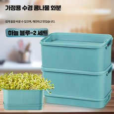 가정용 콩나물 발아기 황두·녹두 발아 용기, 1개, 라이트 블루 새싹 화분 두 세트