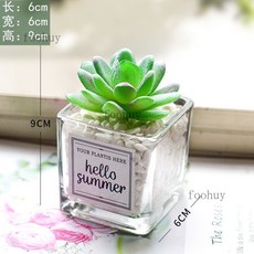 ins風仿真多肉盆栽 仙人掌綠植 桌面擺設 綠植假花 裝飾品 客廳擺件 台灣出貨, 觀音蓮+ins小方玻, 1個