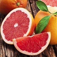 17그레이프프룻 자몽향 스위스 1위 지보단 5ml FO