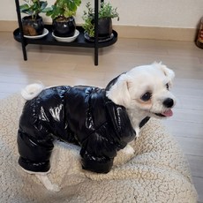 DFANO 강아지 유광 패딩 산책 외출 필수, PM강아지유광패딩(블랙XS), 1개