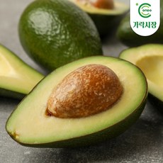 [온도씨]가락시장 당일경매 아보카도 1개