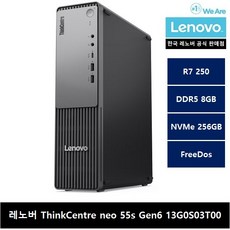 레노버 ThinkCentre neo 55s Gen6 13G0S03T00 FreeDos, Free DOS, 256GB, 8GB, Raven Black