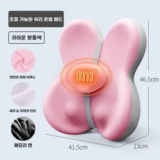 라벨리아 팡쿠 의자 등받이 쿠션 사무실 허리 받침대 메모리폼, 1개, K. pair.K 핫팩 허리 핏러블리 핑크