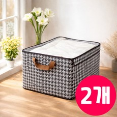 레디박스 튼튼한 투명창 커버 옷정리함, 2개, 체크패턴
