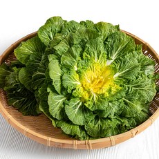 당일수확 국내산 봄동, 1박스, 1kg