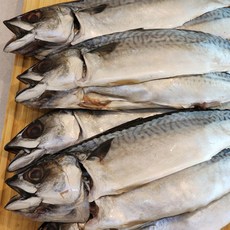 국내산 자반고등어 중대크기 10미 30cm내외 냉동 손질고등어 참고등어 점고등어 제주선상고기, 1세트, 자반고등어 10미 중대