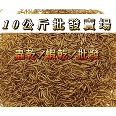 乾燥麵包蟲大麥蟲南極蝦蟋蟀乾綜合包，高蛋白寵物零食，鳥類烏龜倉鼠飼料批發, 1個, 乾燥麵包蟲,10公斤