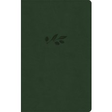 (영문도서) NASB Single-Column Personal Size Bible Olive Leathertouch Imitation Leather, Holman Bibles, English, 9798384502067