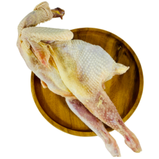 (한마음 미트) 국내산 최고급 닭 원물 산란계 1.3KG 이내(냉동), 4개