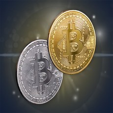 비트코인골드 기념주화 가짜동전모형, 실버