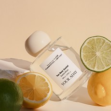 유얼어데이 서클오브제 디퓨저, 1개, 화이트솝