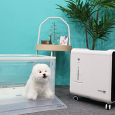 [임대]나비몽 강아지 산소방 산소발생기 세트 렌탈 고양이 임대 1달 대여 전국 택배, 1개, 1개월10만원, 단기요금제