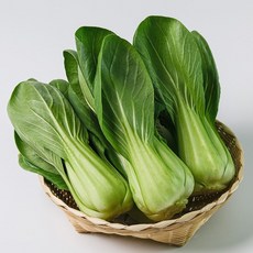 아삭아삭 국내산 청경채 1kg 2kg, 01. 1kg내외