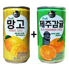 참맑은 망고 175ml(15캔) + 참맑은 제주감귤 175ml(15캔), 30개, 175ml