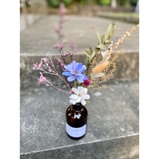 BLUE MOUNTAINS CACTUS 乾燥擴香索拉花束, 極光紫,送玻璃花器