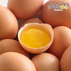 알참참 무항생제 계란 동물복지 유정란, 1개, 난각번호2번, 60구