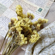 乾燥星辰花 插花素材, 鵝黃,一份約9-10g