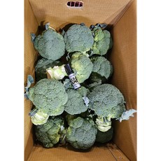 브로콜리, 500g, 1개