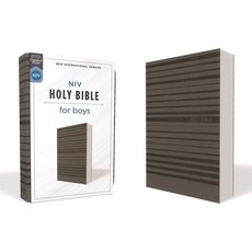 Niv Holy Bible for Boys Soft Touch Edition Leathersoft Gray Comfort Print Imitation Leather, Zonderkidz