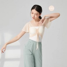 메쉬 브이넥 크롭탑 발레 티셔츠 댄스 탑 발레리나 댄스웨어 연습 의상 댄스용 클래식