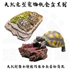 仿岩造型寵物食盤 爬梯式設計 天然樹脂材質 適用陸龜守宮, 1個, 仿岩石餵食盤_長方形