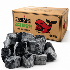 리치 비장탄 프리미엄 등급, 1박스, M사이즈 9kg