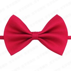 兒童領結 襯衫加購