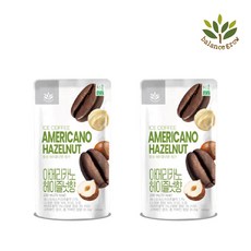 밸런스그로우 아이스파우치 음료 BG 아메리카노 헤이즐넛 커피 230ml x 10개입, 10개