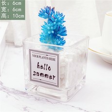 台灣熱賣ins風仿真多肉盆栽，仙人掌綠植客廳擺件，小盆栽裝飾品綠植假花桌面擺設，輕鬆打造清新居家風格, 多藍杉+ins小方玻, 1個