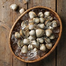 황도 국내산 생물 동죽(물총)조개10kg, 1개, 단품