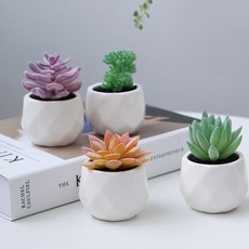 내일의공간 다육이 미니 화분 조화 4종세트, 1개