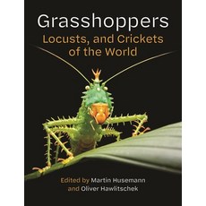 (영문도서)Grasshoppers Locusts and Crickets of the World Hardcover, Princeton University Press, English, 9780691281056