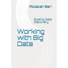 (영문도서)Working with Big Data: Scaling Data Discovery Paperback, Independently Published, English, 9781973573951